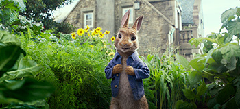 Peter Rabbit™